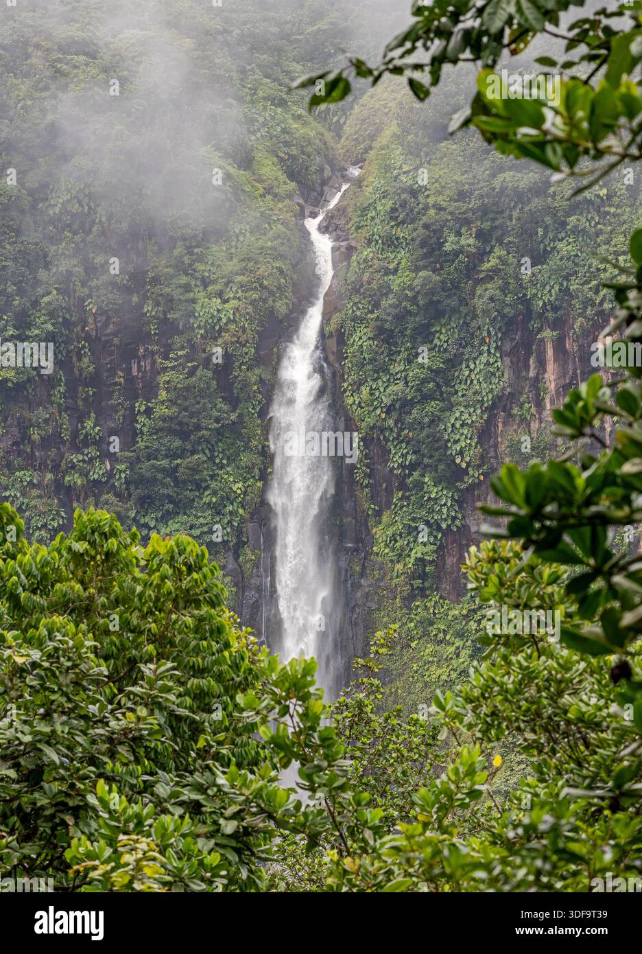 La deuxième cascade de la cascade du Carbet - île des Caraïbes Guadeloupe Banque D'Images