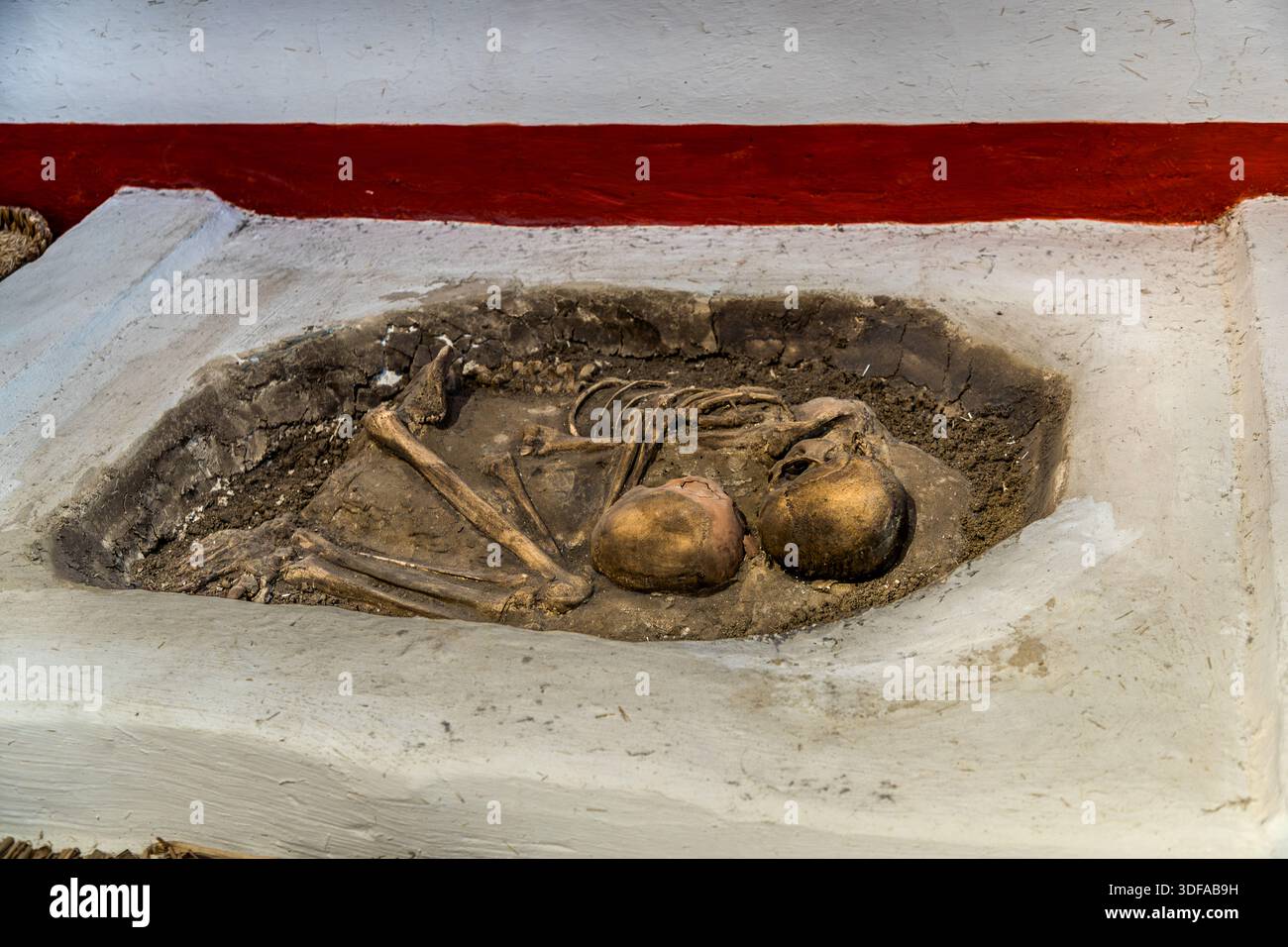 Une reconstruction funéraire au musée de Çumra, en Turquie, montre deux crânes humains et des restes squelettiques tels qu'ils ont été trouvés sous un plancher de maison à Çatalhöyük. Les habitants de Çatalhöyük, l'une des colonies néolithiques les plus renommées au monde, enterraient leurs morts sous les planchers de leurs habitations, souvent sous des plateformes de couchage. Banque D'Images