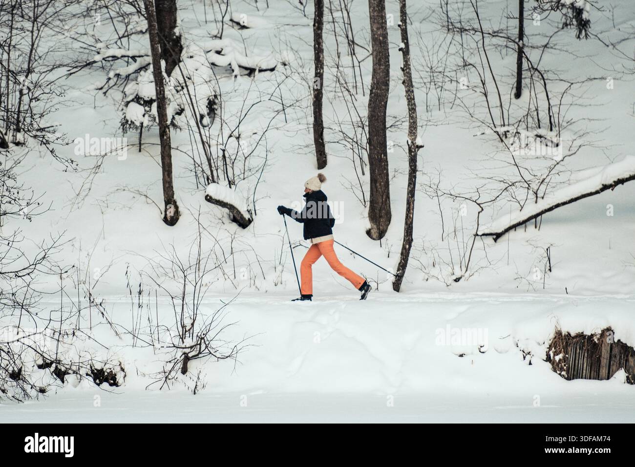 Fille ski en hiver dans la forêt, sports de plein air, mode de vie sain Banque D'Images