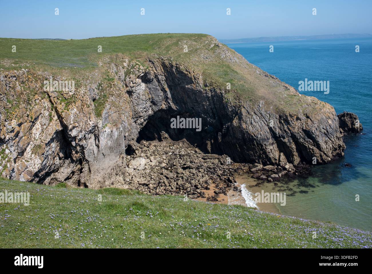 Vue des grottes sur la falaise promenade sur le chemin de la plage de Barafundle Bay Beach Pembrokeshire West Wales UK Banque D'Images