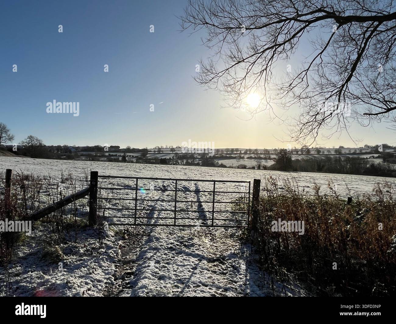 Regard à travers une porte vers un paysage enneigé - Image de stock capturée avec un smartphone