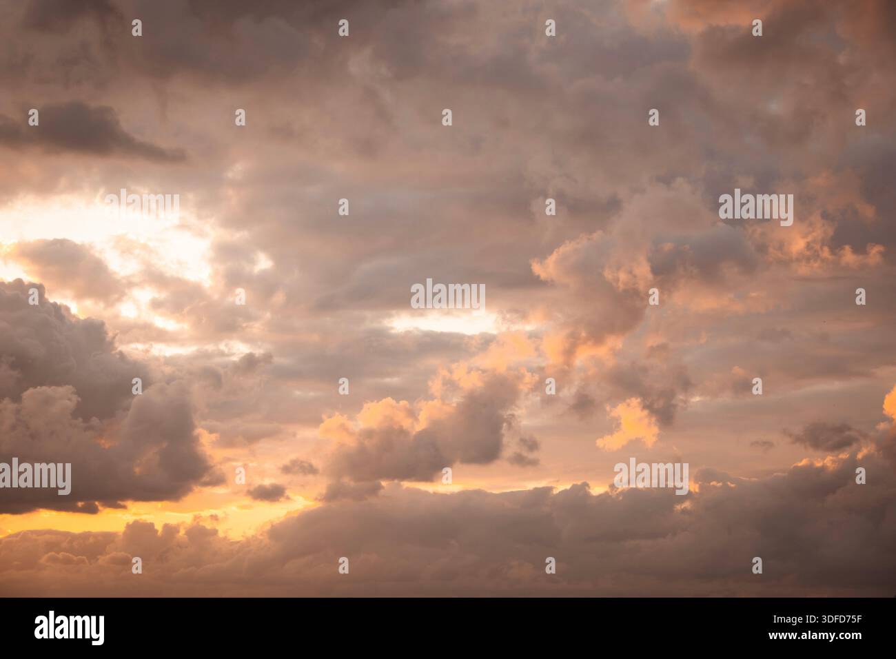Les nuages de Cumulus remplissent le ciel de teintes crépusculaires orange et dorées, créant une texture de fond atmosphérique douce Banque D'Images