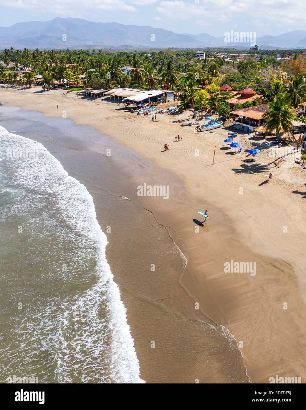 Vue aérienne de la plage ensoleillée où le sable doré rencontre les vagues turquoises, et les palmiers balancent doucement dans la brise, la Saladita, Guerrero, Banque D'Images