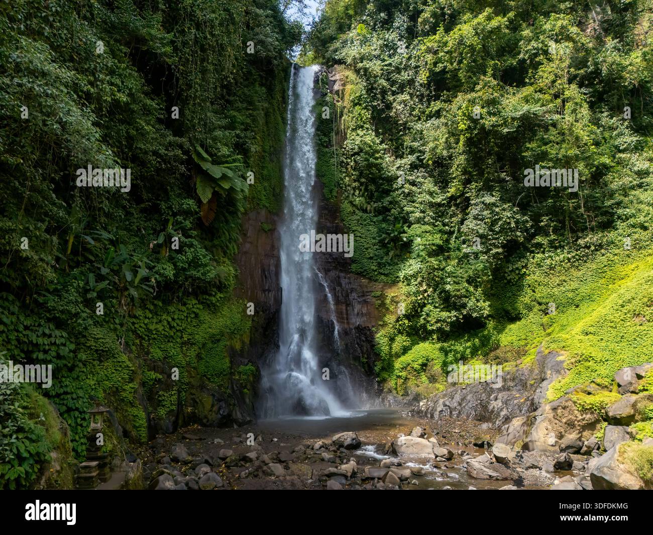 Vue en angle élevé d'une cascade haute et étroite de Gitgit, Bali, Indonésie descendant une falaise, entourée d'une forêt tropicale luxuriante et verdoyante Banque D'Images