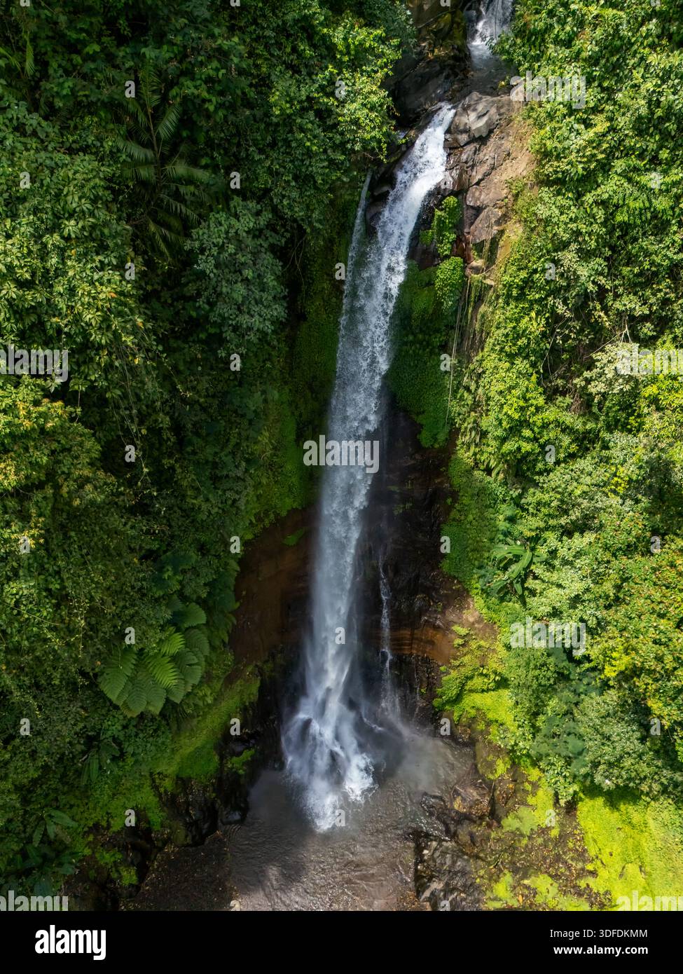 Vue en angle élevé d'une cascade haute et étroite de Gitgit, Bali, Indonésie descendant une falaise, entourée d'une forêt tropicale luxuriante et verdoyante Banque D'Images