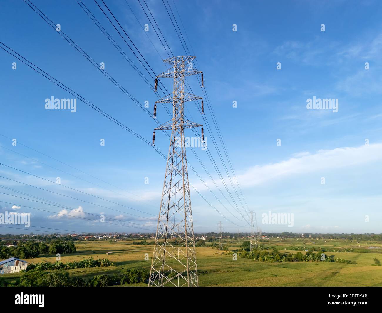 Tour de transport d'électricité à haute tension debout dans un champ de riz vert sous un ciel bleu clair, symbolisant l'énergie et l'infrastructure rurale. Banque D'Images