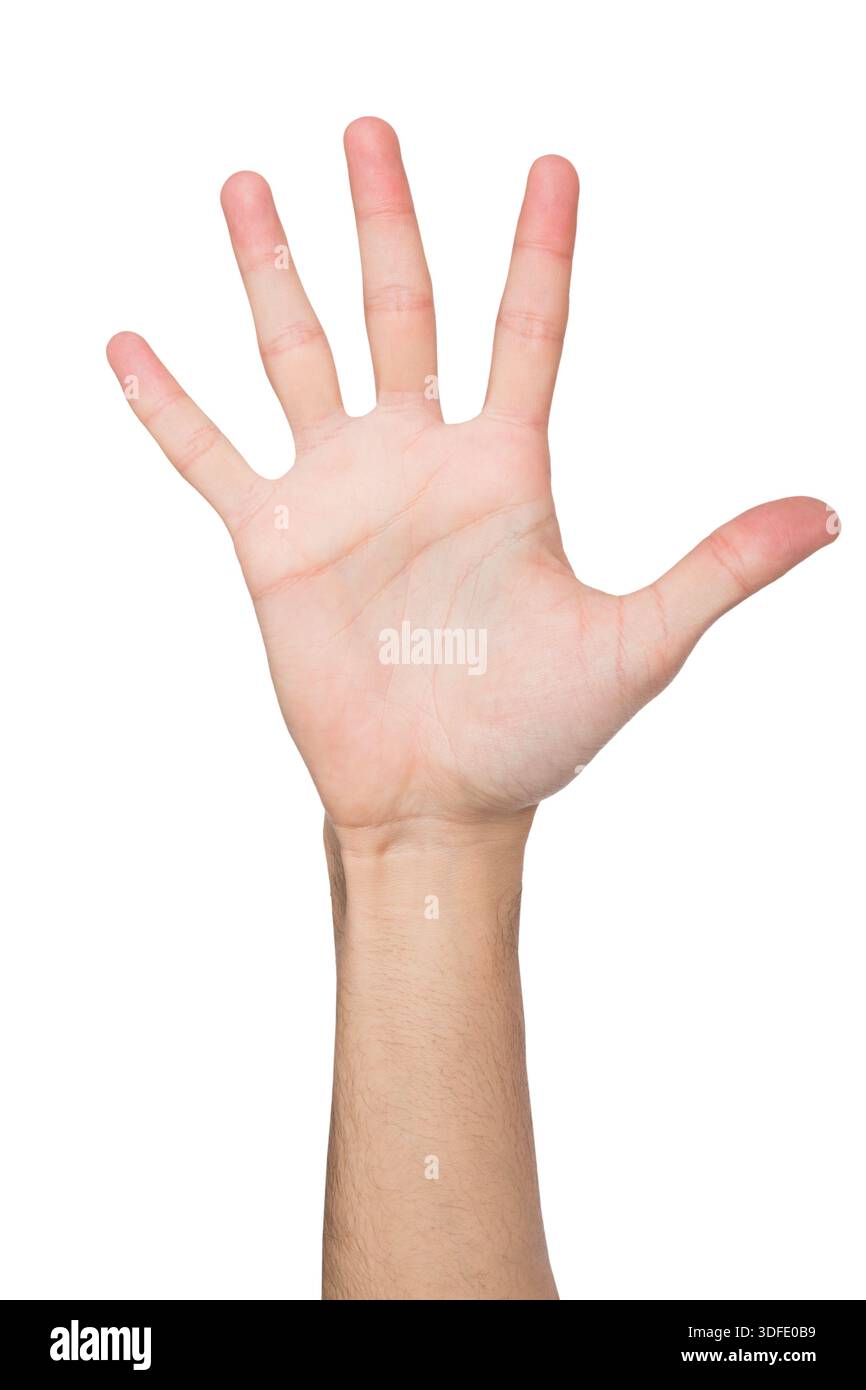 Prenez cinq gestes - paume ouverte tendue, découpe Banque D'Images