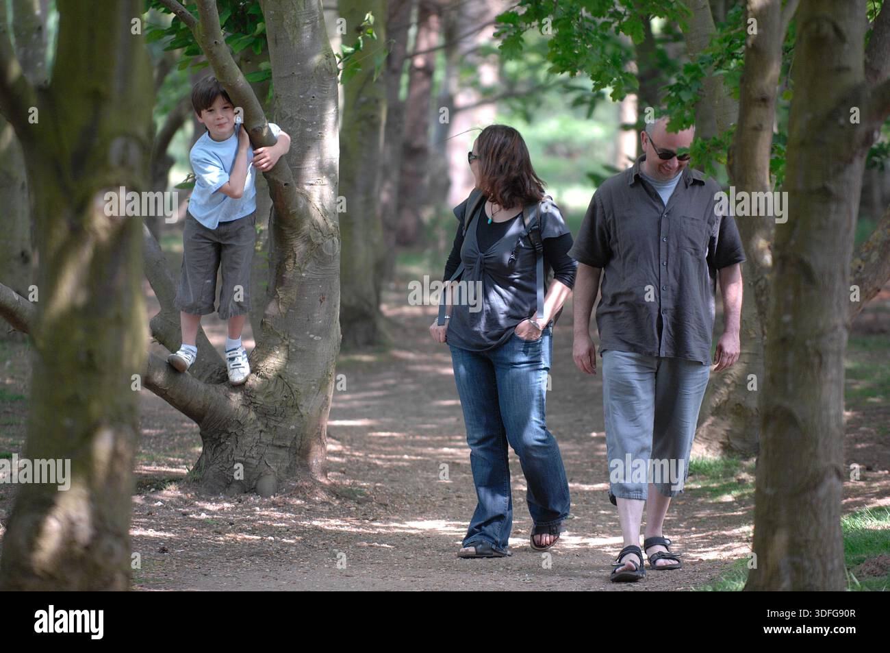 Scènes autour de Sutton Hoo Anglo Saxon Burial Ground, Woodbridge Suffolk. Le site est l'une des découvertes archéologiques les plus importantes de l'histoire britannique. Creusé en 1939, ce cimetière royal comporte une série de monticules, notamment Mound 1, qui contenait un enterrement de navires anglo-saxons de 90 pieds de long. Bien que le bois du navire pourri dans le sol acide, il a laissé une parfaite impression de « fantôme » dans le sable. L'enterrement, probablement pour le roi Rædwald des angles de l'est, a donné un trésor d'argent byzantin, de bijoux en or et de l'emblématique casque de fer. Banque D'Images