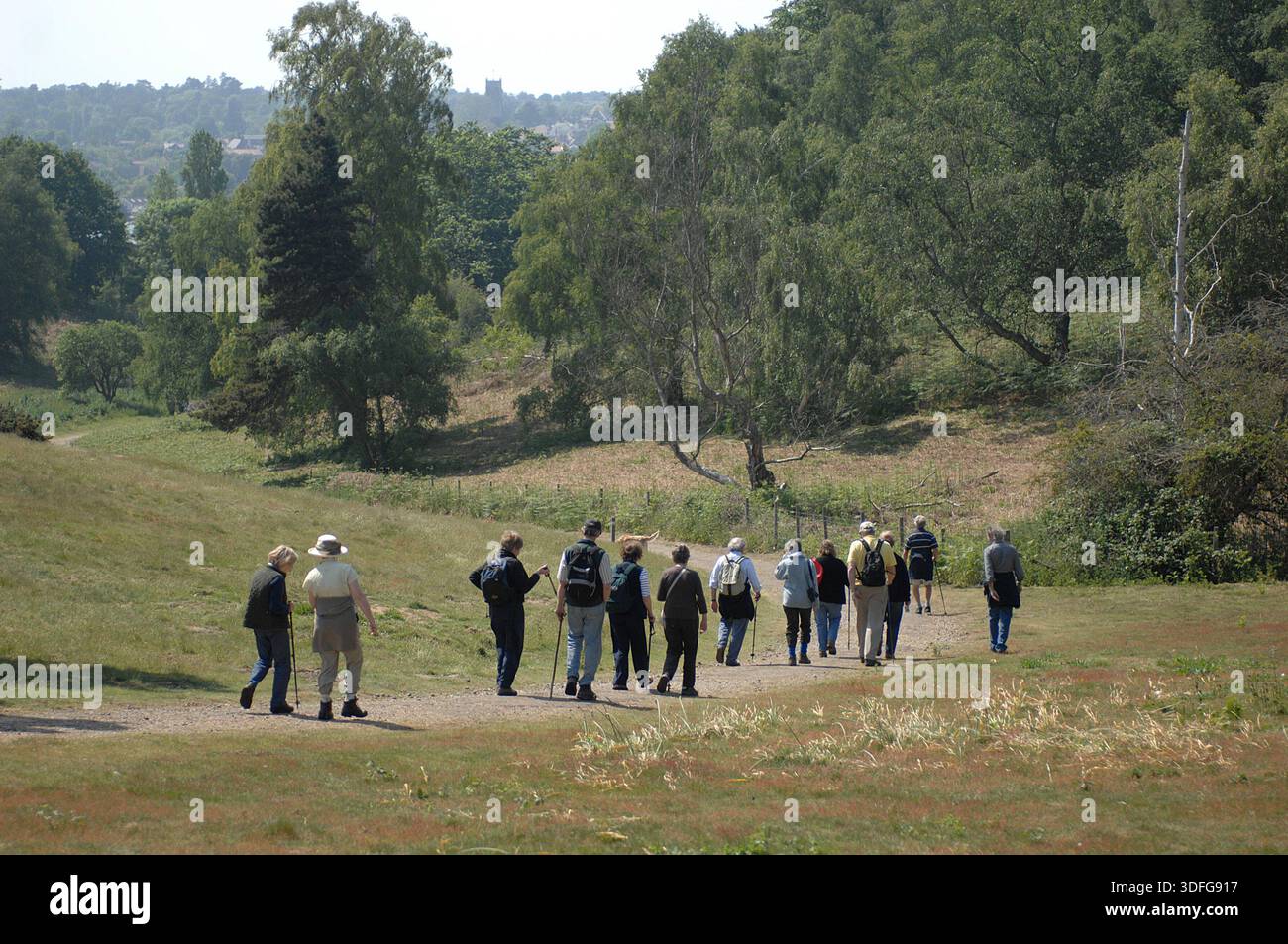 Scènes autour de Sutton Hoo Anglo Saxon Burial Ground, Woodbridge Suffolk. Le site est l'une des découvertes archéologiques les plus importantes de l'histoire britannique. Creusé en 1939, ce cimetière royal comporte une série de monticules, notamment Mound 1, qui contenait un enterrement de navires anglo-saxons de 90 pieds de long. Bien que le bois du navire pourri dans le sol acide, il a laissé une parfaite impression de « fantôme » dans le sable. L'enterrement, probablement pour le roi Rædwald des angles de l'est, a donné un trésor d'argent byzantin, de bijoux en or et de l'emblématique casque de fer. Banque D'Images