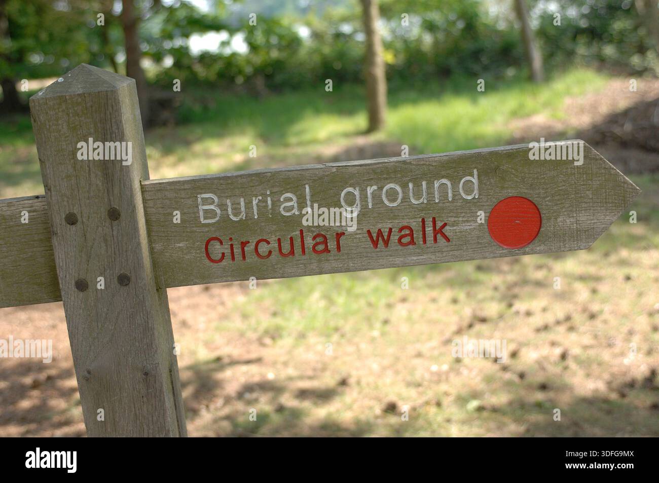 Scènes autour de Sutton Hoo Anglo Saxon Burial Ground, Woodbridge Suffolk. Le site est l'une des découvertes archéologiques les plus importantes de l'histoire britannique. Creusé en 1939, ce cimetière royal comporte une série de monticules, notamment Mound 1, qui contenait un enterrement de navires anglo-saxons de 90 pieds de long. Bien que le bois du navire pourri dans le sol acide, il a laissé une parfaite impression de « fantôme » dans le sable. L'enterrement, probablement pour le roi Rædwald des angles de l'est, a donné un trésor d'argent byzantin, de bijoux en or et de l'emblématique casque de fer. Banque D'Images