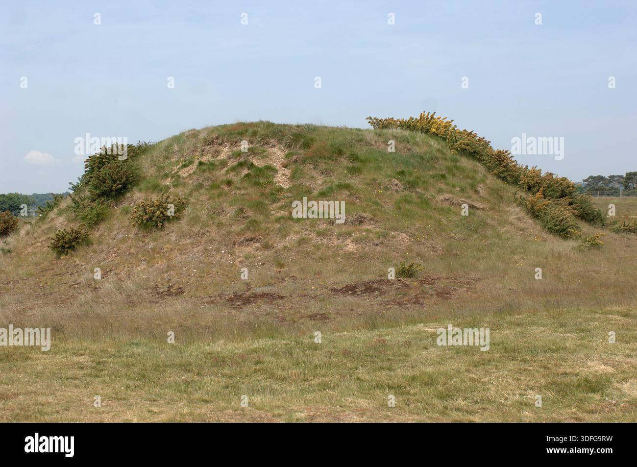 Scènes autour de Sutton Hoo Anglo Saxon Burial Ground, Woodbridge Suffolk. Le site est l'une des découvertes archéologiques les plus importantes de l'histoire britannique. Creusé en 1939, ce cimetière royal comporte une série de monticules, notamment Mound 1, qui contenait un enterrement de navires anglo-saxons de 90 pieds de long. Bien que le bois du navire pourri dans le sol acide, il a laissé une parfaite impression de « fantôme » dans le sable. L'enterrement, probablement pour le roi Rædwald des angles de l'est, a donné un trésor d'argent byzantin, de bijoux en or et de l'emblématique casque de fer. Banque D'Images