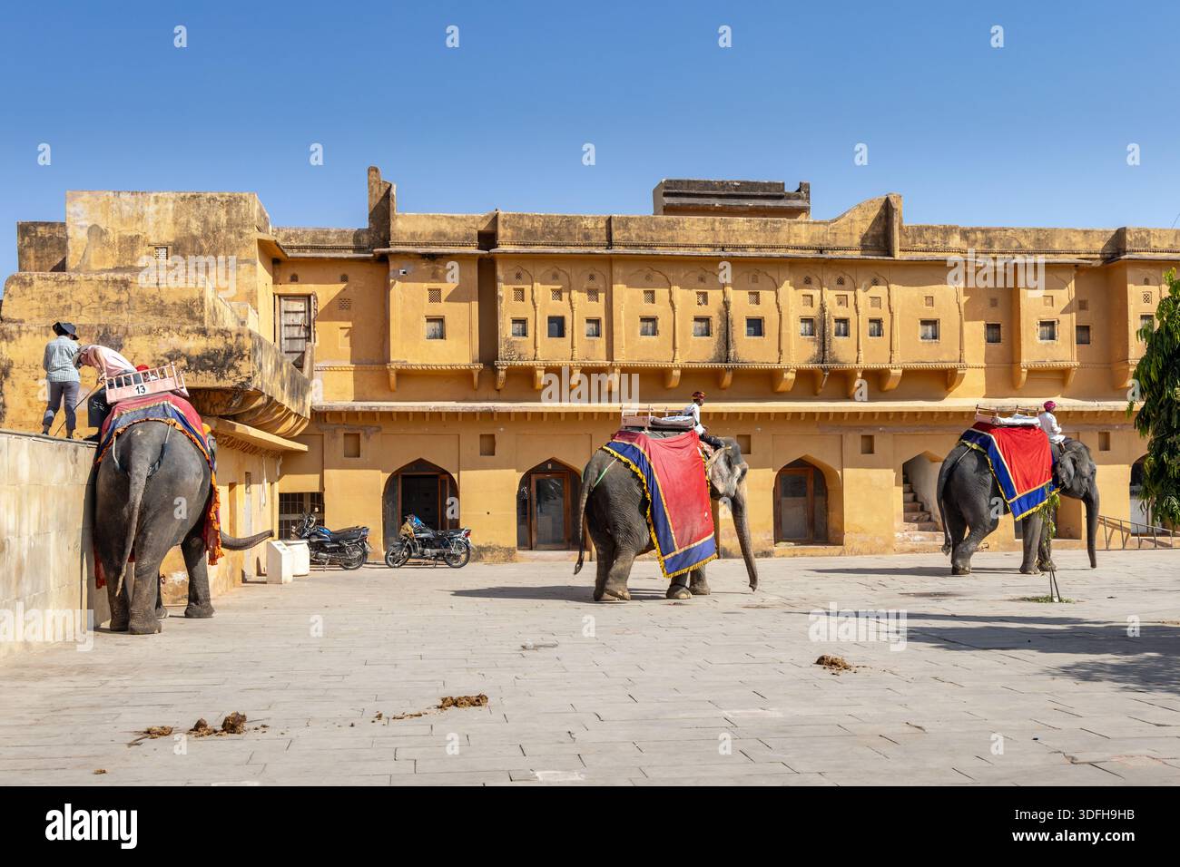 Éléphants au Fort d'Amber, ou Fort d'Amer, Jaipur, Rajasthan, Inde. Banque D'Images
