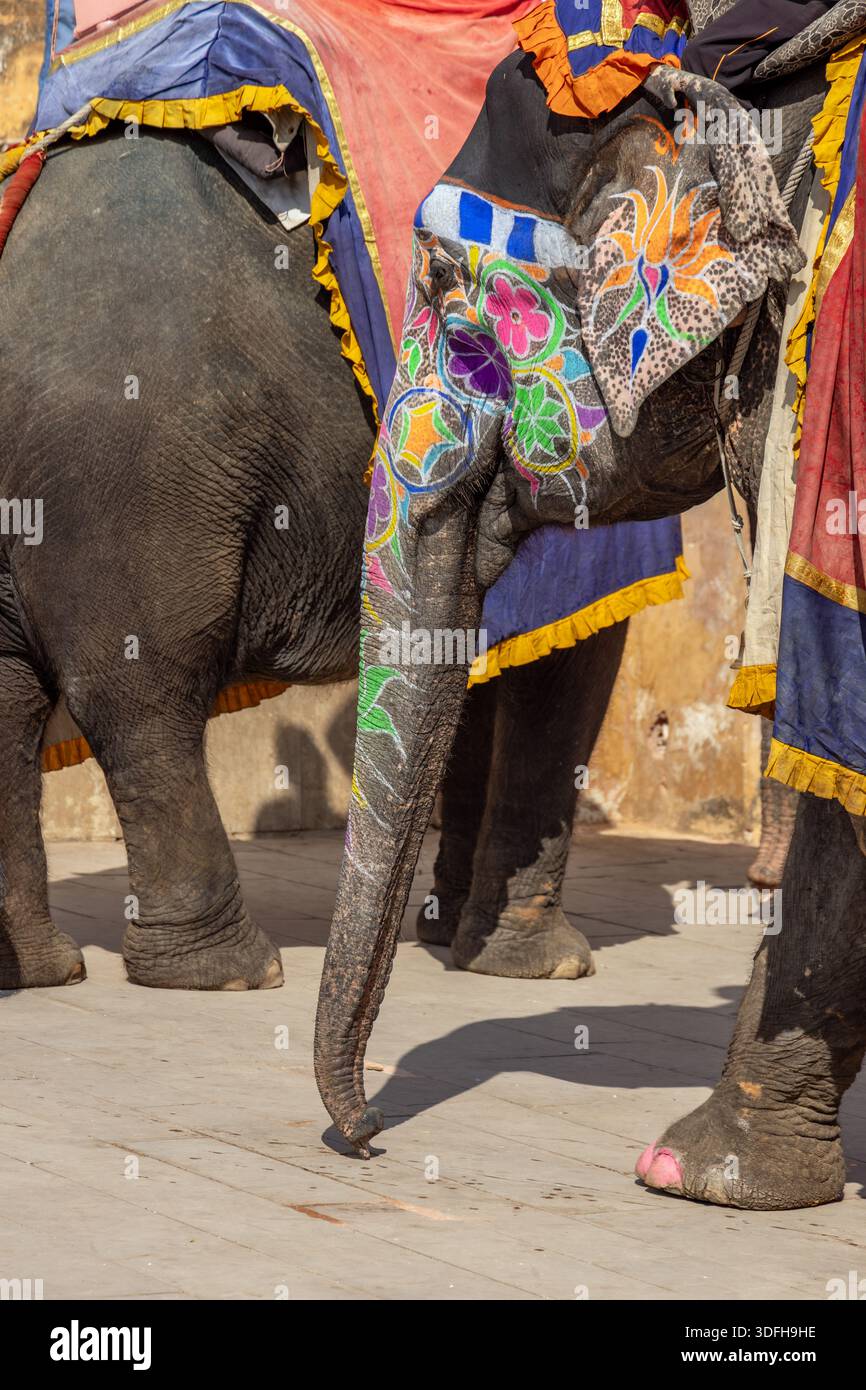 Éléphant peint au Fort d'Amber, ou Fort d'Amer, Jaipur, Rajasthan, Inde Banque D'Images