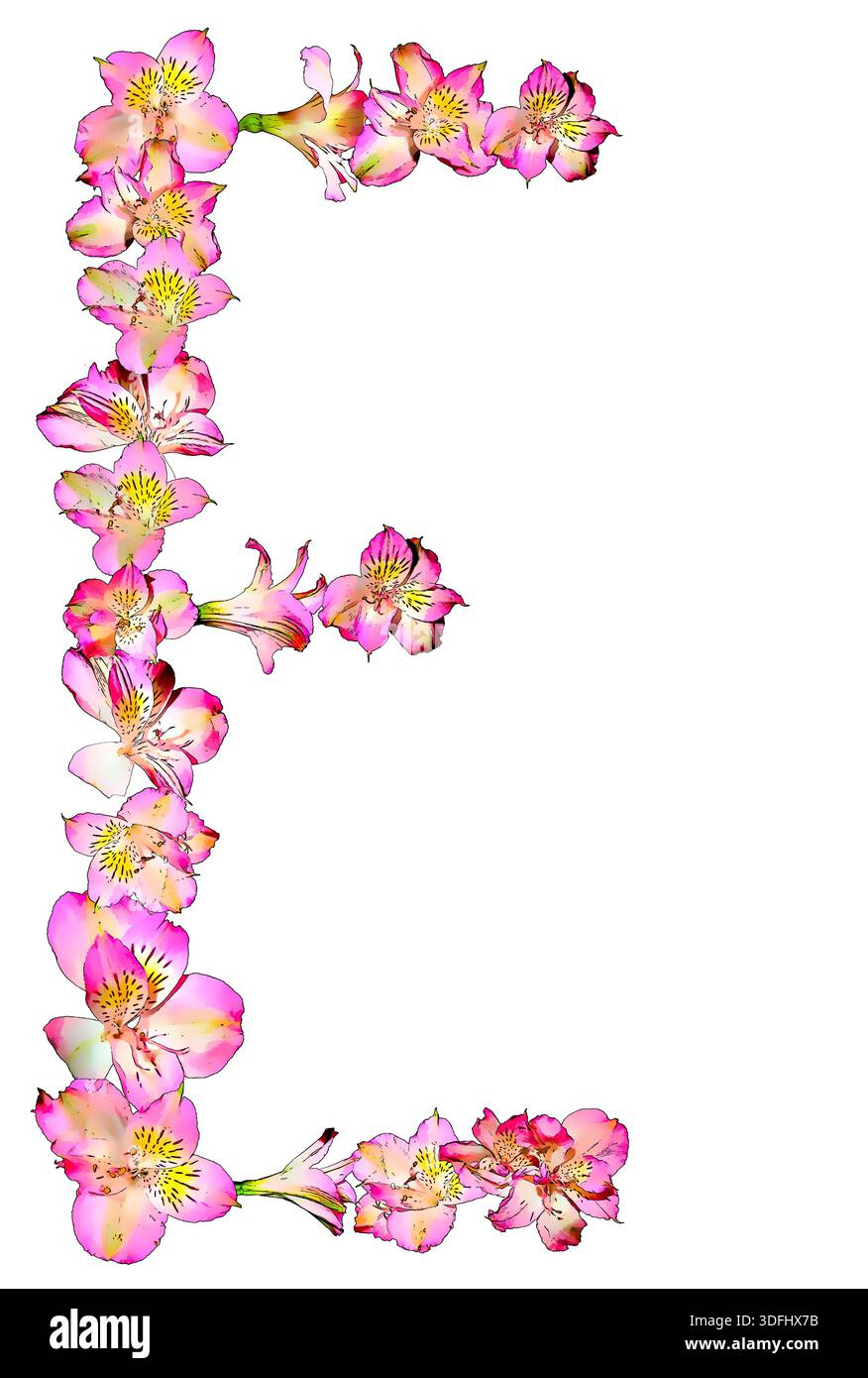 Vibrant Letter E alstroemeria fleur pétales pop avec des jaunes riches, blues, rose, lettre amusante et excitante, photo esthétiquement modifiée de style. Banque D'Images