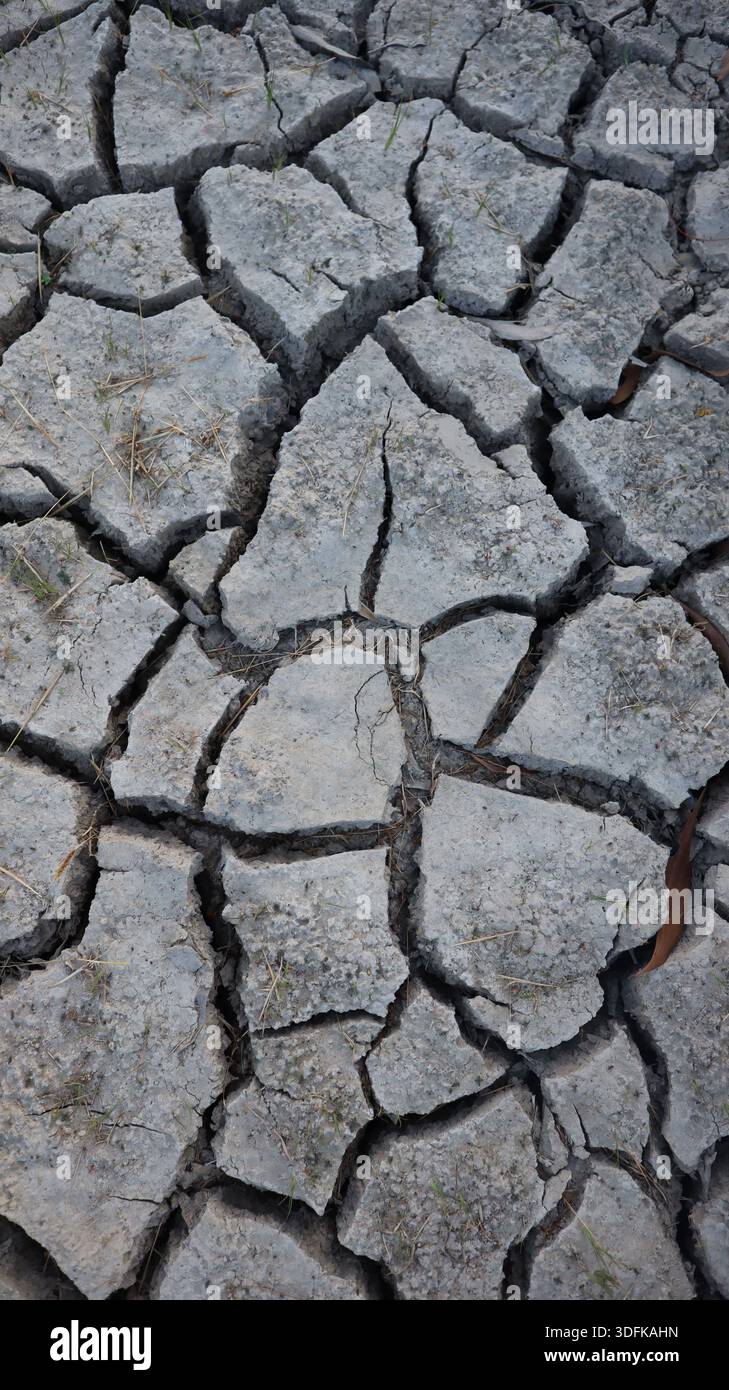 Sol extrêmement sec avec des fissures profondes et de l'herbe clairsemée, illustrant la sécheresse et la dégradation de l'environnement Banque D'Images