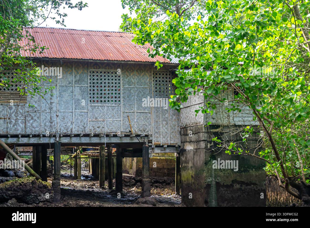 Maison traditionnelle philippine sur pilotis, bahay kubo ou maison ancestrale, construite sur l'eau ou un sol boueux. Matières organiques, bambou, nipa, bohol Banque D'Images