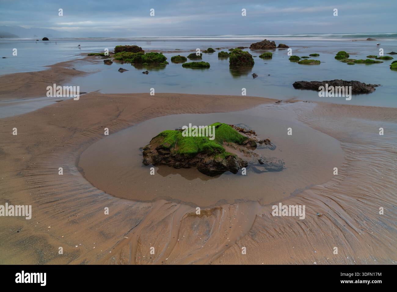 Paysage côtier à marée basse montrant des roches couvertes d'algues vertes et des modèles de drainage de l'eau dans le sable sous un ciel nuageux. Banque D'Images