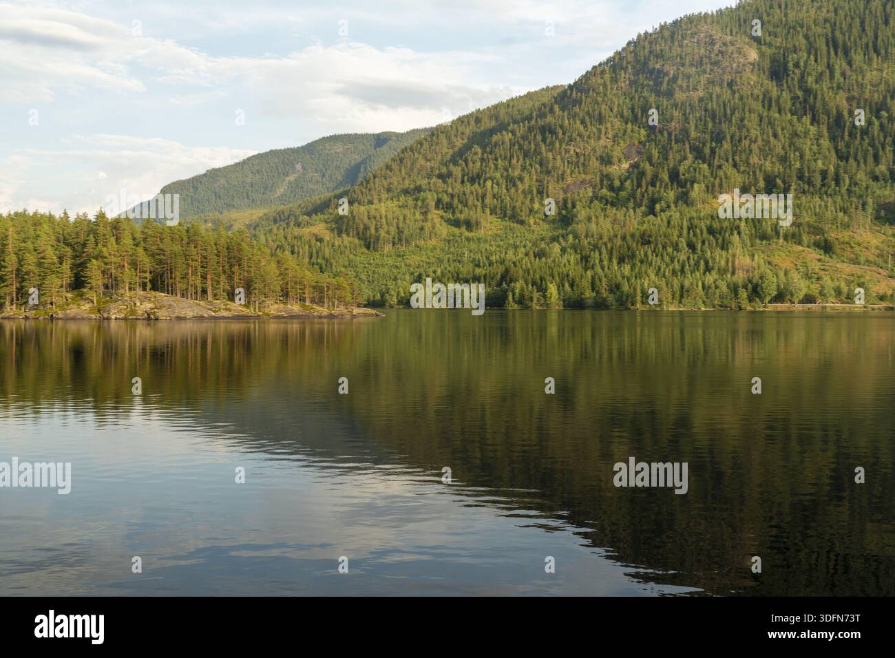 Vue sur les eaux tranquilles reflétant la forêt luxuriante et verdoyante accrochée aux montagnes escarpées sous un ciel doux, créant un paysage serein, Nissedal, Tele Banque D'Images