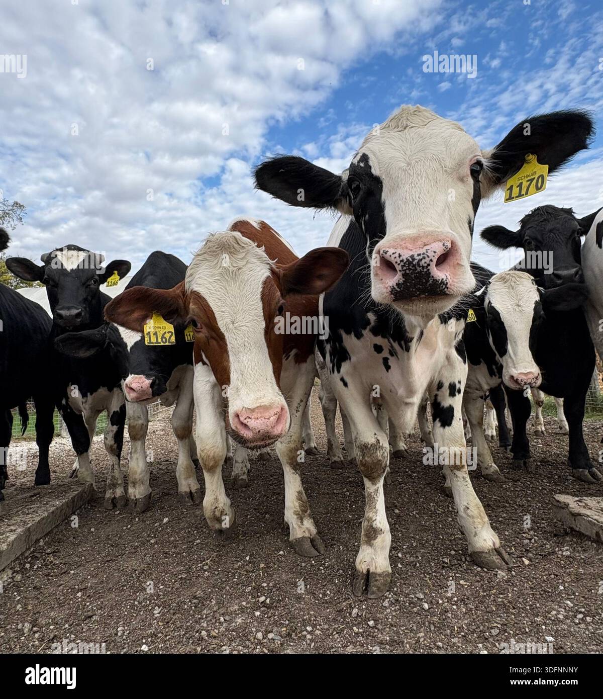 Southern Minnesota Farm Life - Image de stock capturée avec un smartphone