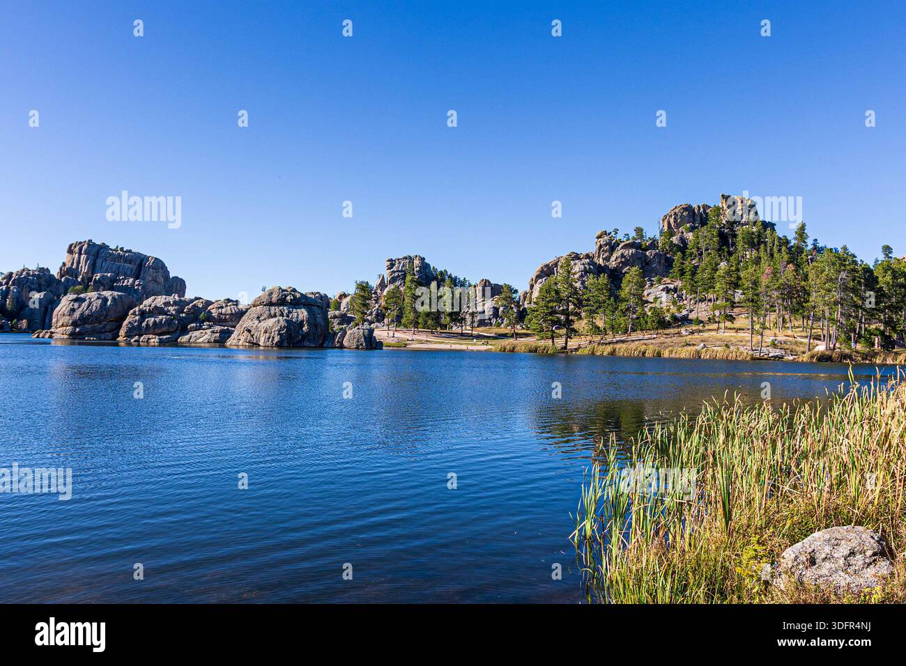 Magnifique paysage vu autour du lac Sylvan au parc d'État de Custer dans le Dakota du Sud. Banque D'Images