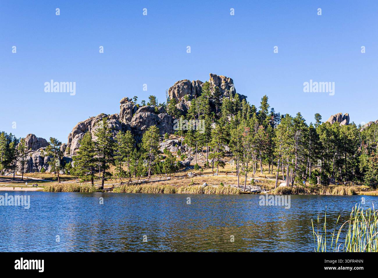 Magnifique paysage vu autour du lac Sylvan au parc d'État de Custer dans le Dakota du Sud. Banque D'Images