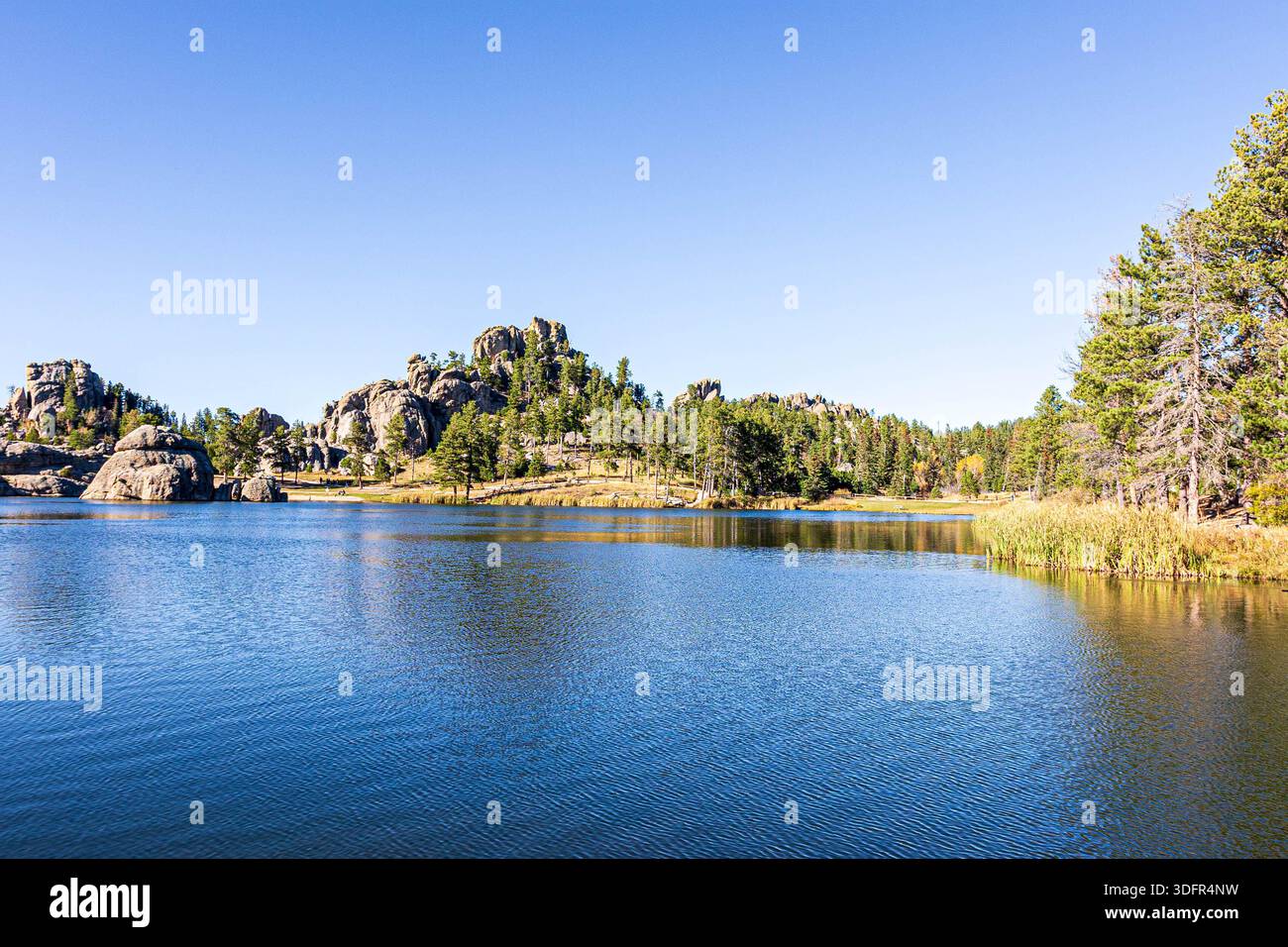 Magnifique paysage vu autour du lac Sylvan au parc d'État de Custer dans le Dakota du Sud. Banque D'Images
