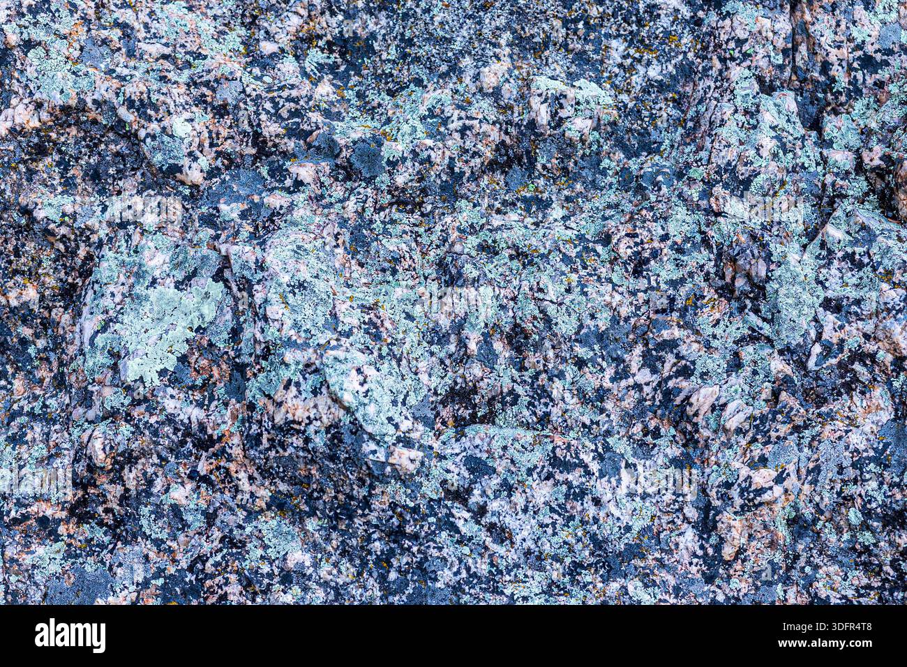 Surface rocheuse granitique au Custer Stare Park pour les fonds et les textures. Banque D'Images