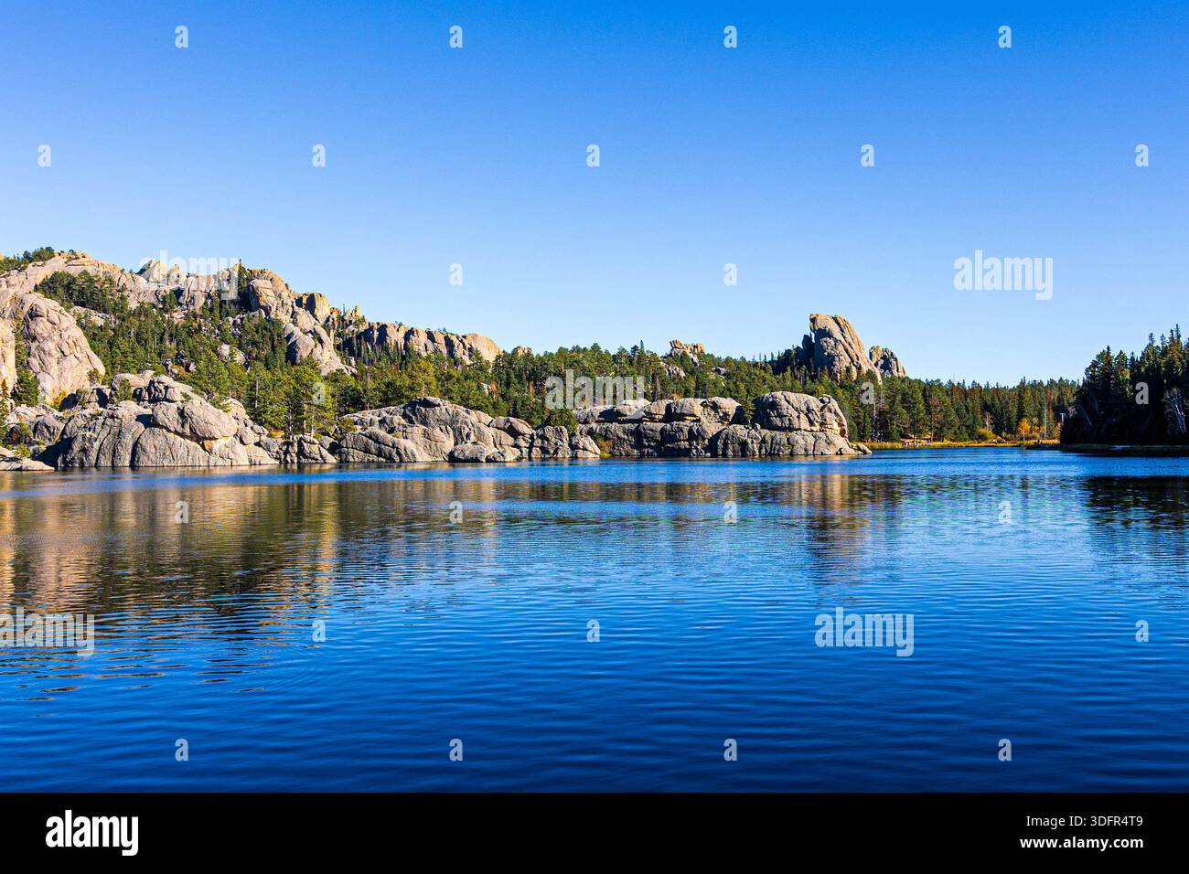Magnifique paysage vu autour du lac Sylvan au parc d'État de Custer dans le Dakota du Sud. Banque D'Images