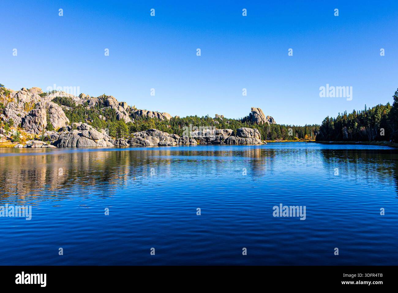 Magnifique paysage vu autour du lac Sylvan au parc d'État de Custer dans le Dakota du Sud. Banque D'Images
