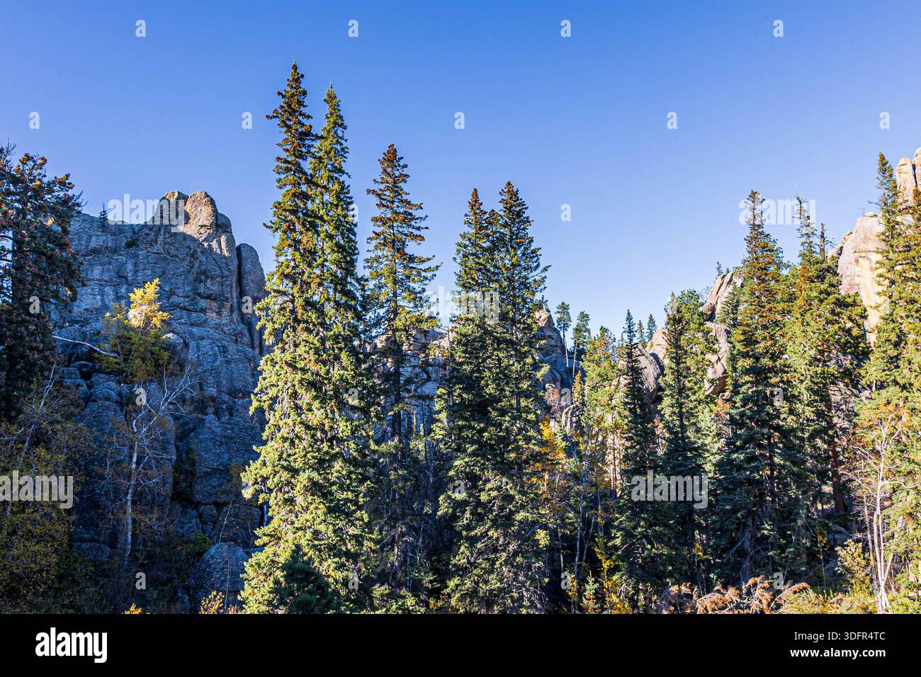 Magnifique paysage vu autour du lac Sylvan au parc d'État de Custer dans le Dakota du Sud. Banque D'Images
