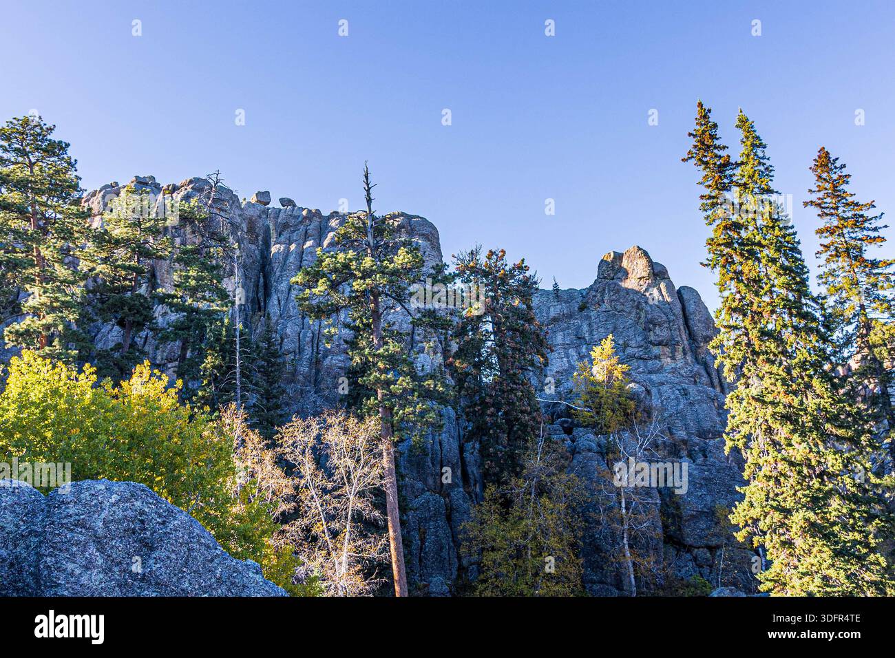 Magnifique paysage vu autour du lac Sylvan au parc d'État de Custer dans le Dakota du Sud. Banque D'Images