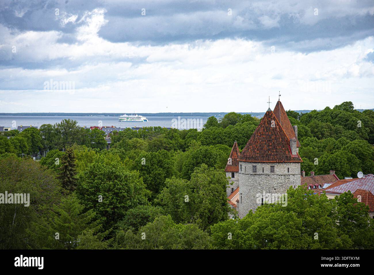 Tallinn, Estonie - 07 juin 2025 : vue sur les tours médiévales de la vieille ville de Tallinn s'élèvent au-dessus d'une mer d'arbres verdoyants, contrastant avec les lointains Banque D'Images