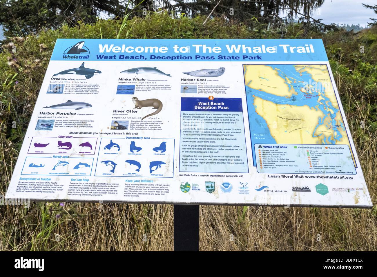 North Cascades NP, WA, Etats-Unis - 18 août 2021 : le sentier de la plage des baleines Banque D'Images