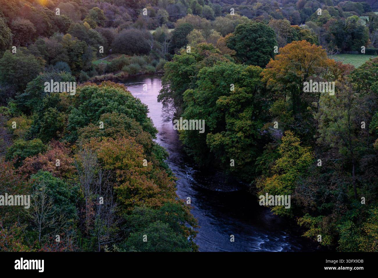 La lumière du lever du soleil se répand sur la rivière Dee alors qu'elle serpente à travers les forêts d'automne denses Banque D'Images
