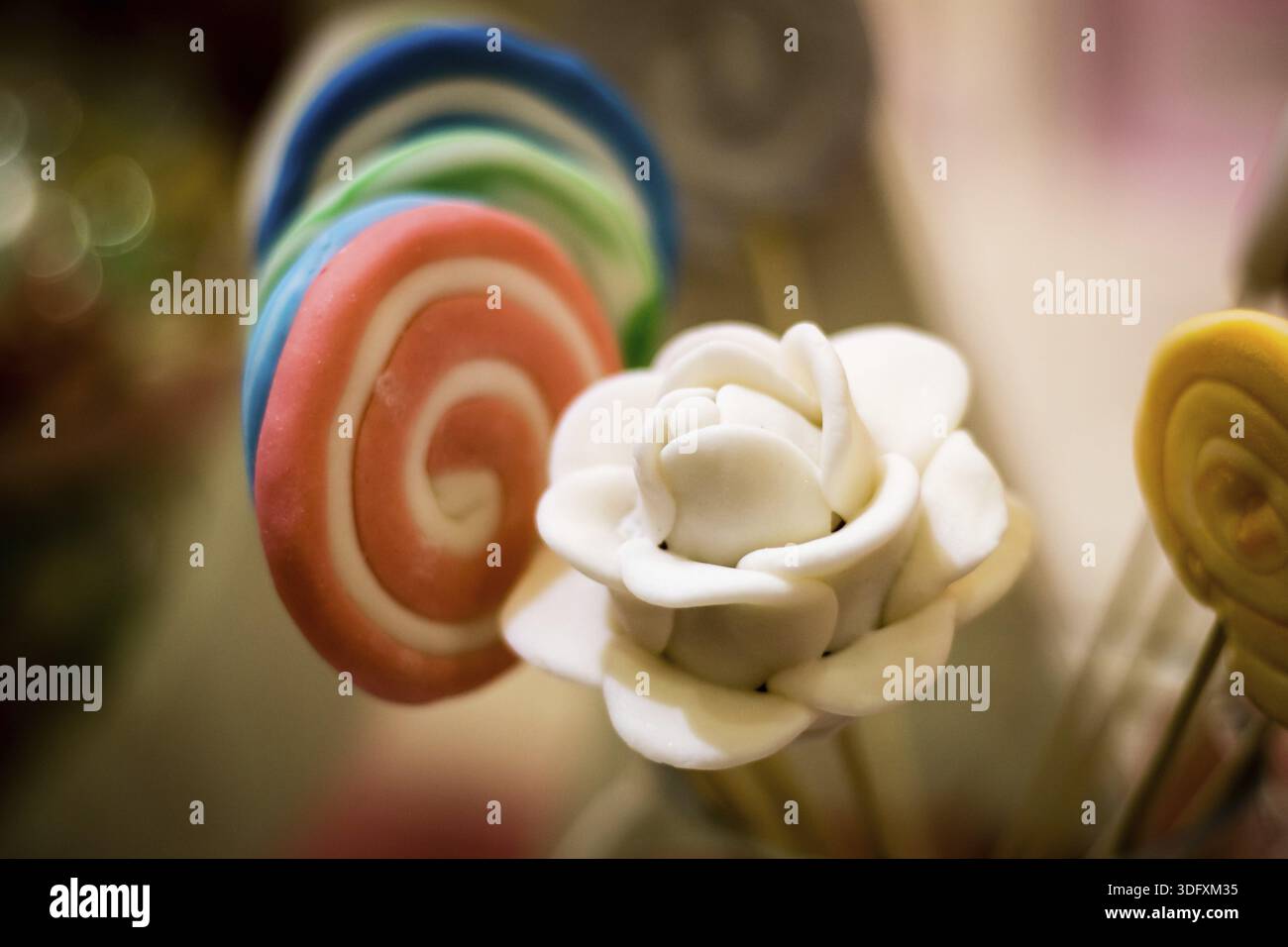 Sucette de couleur et fleur de sucre blanc Banque D'Images