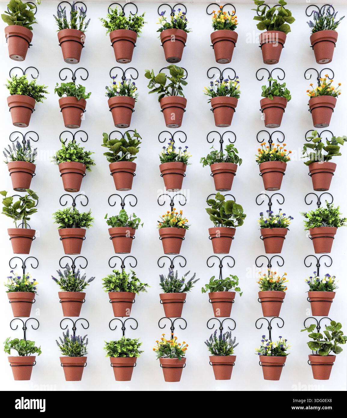 Arrière-plan de pots de fleurs, accroché au mur Banque D'Images