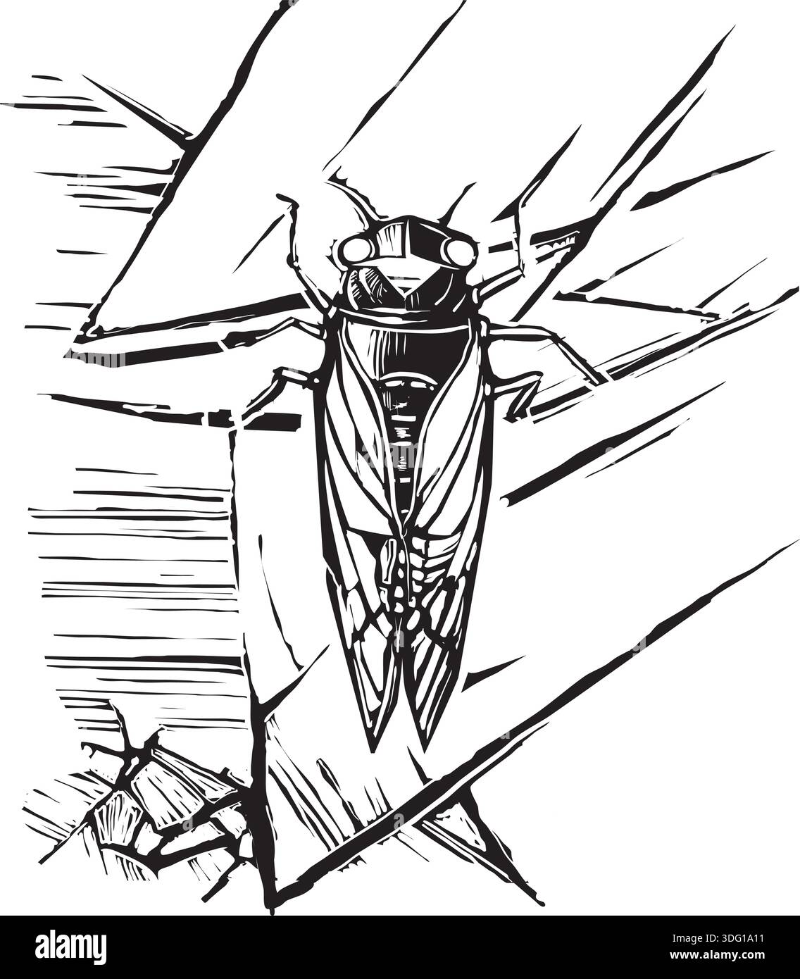 Image de style expressionniste de coupe de bois d'une couvée x cicada Illustration de Vecteur