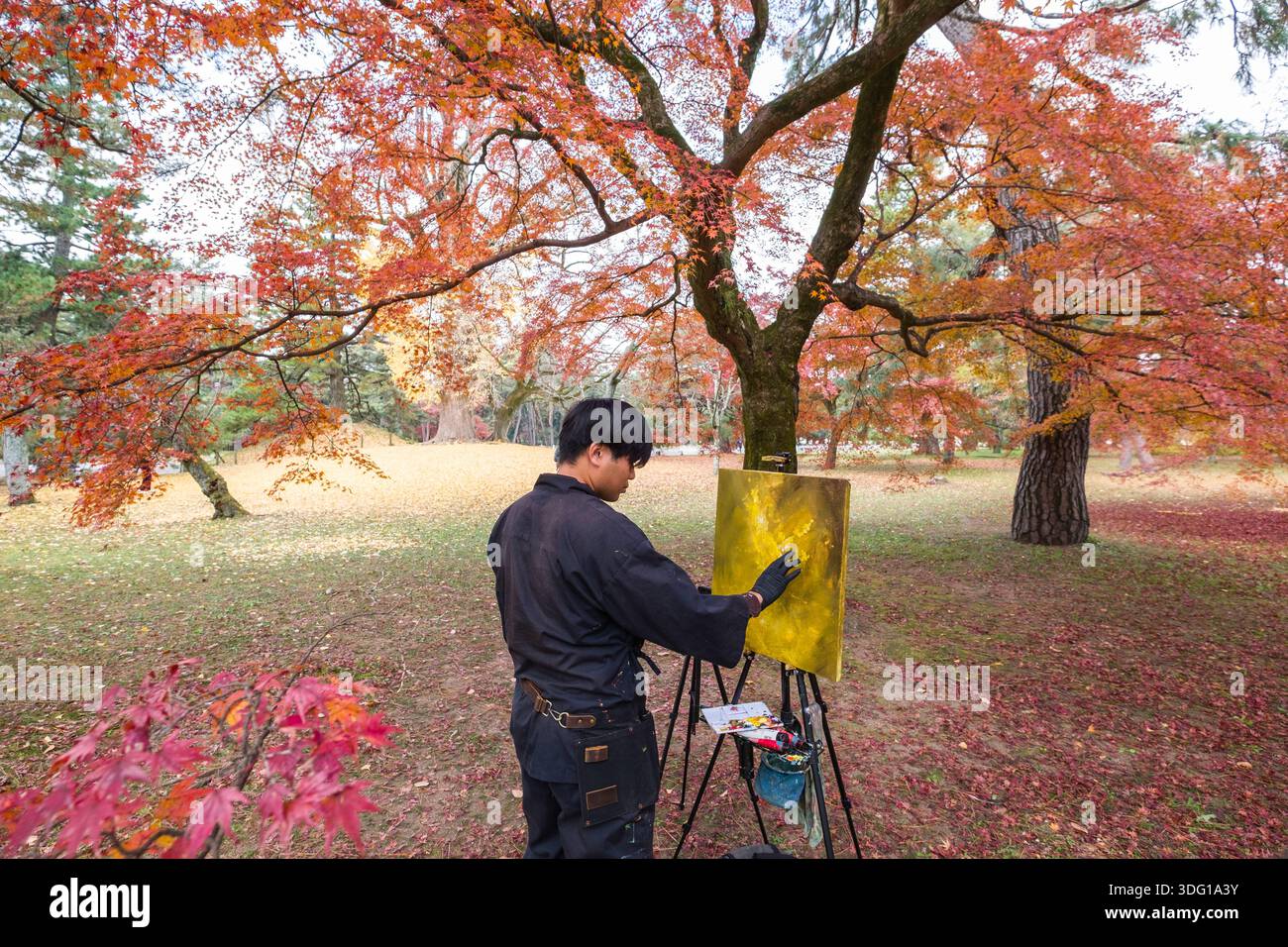 Le jardin national Kyoto Gyoen met en valeur la beauté vibrante de l'automne au Japon. Un artiste capture l'essence de la saison, peignant au milieu des teintes flamboyantes O. Banque D'Images