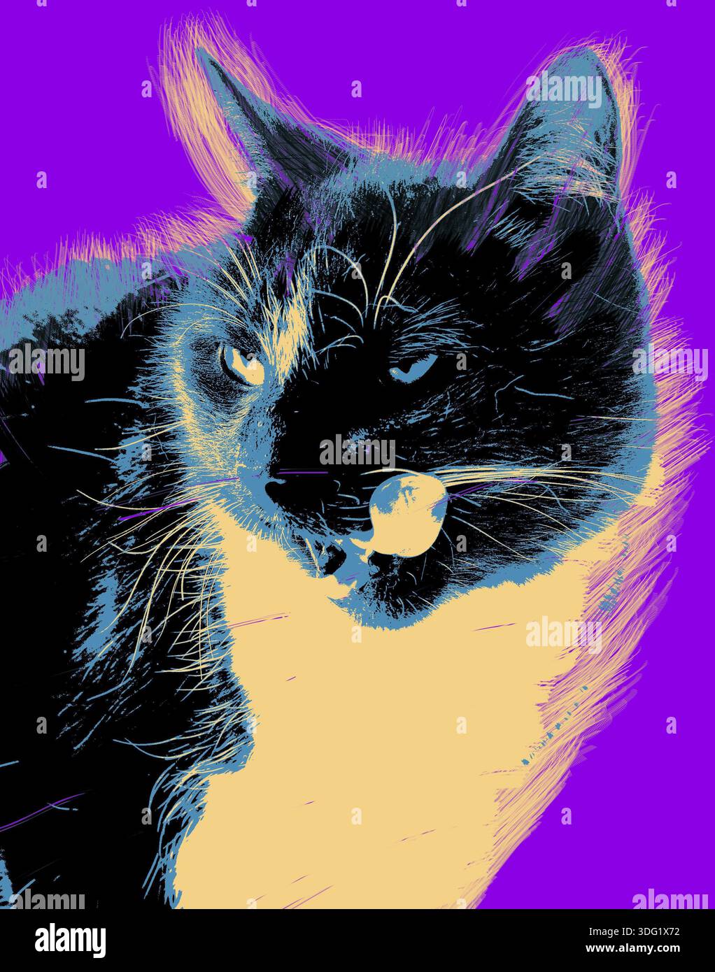 Photo avec cat sur fond violet en style pop art Banque D'Images