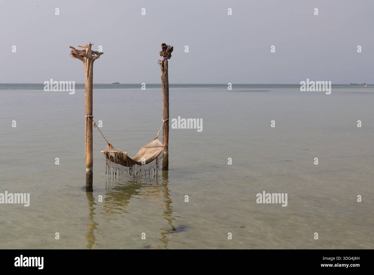 Starfish Beach Phu Quoc Vietnam Banque D'Images