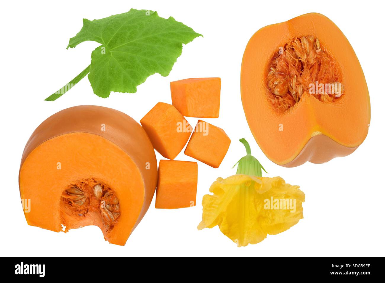 Citrouille orange fraîche isolée sur fond blanc avec une profondeur de champ totale. Vue de dessus. Pose à plat Banque D'Images