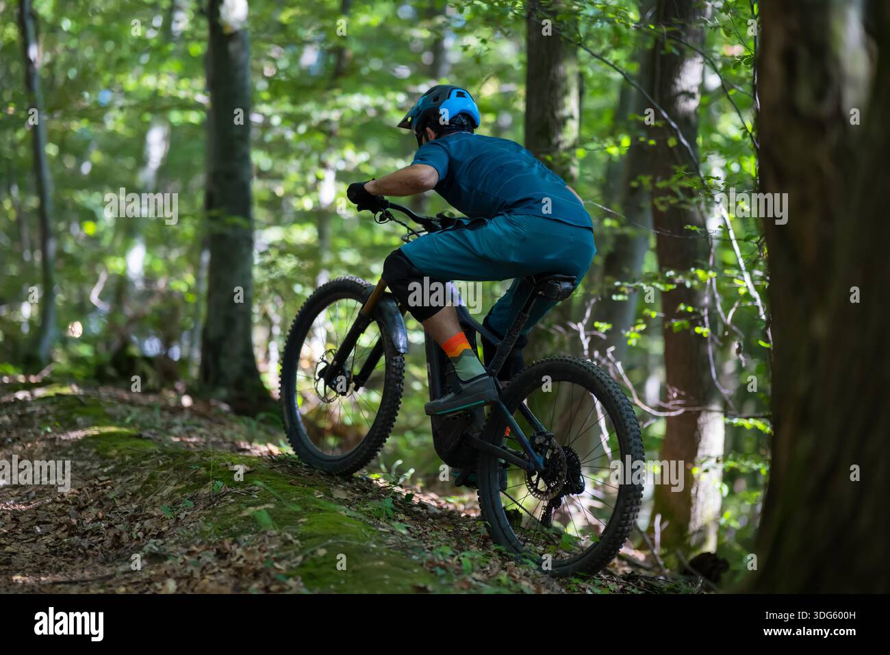 Un vététiste navigue sur un sentier forestier, portant un casque et un équipement de protection. La lumière du soleil filtre à travers les feuilles vertes tandis que le cycliste avance le long d'une pente boisée, capturant l'action, l'équilibre et l'aventure en plein air. || autorisation du modèle Banque D'Images