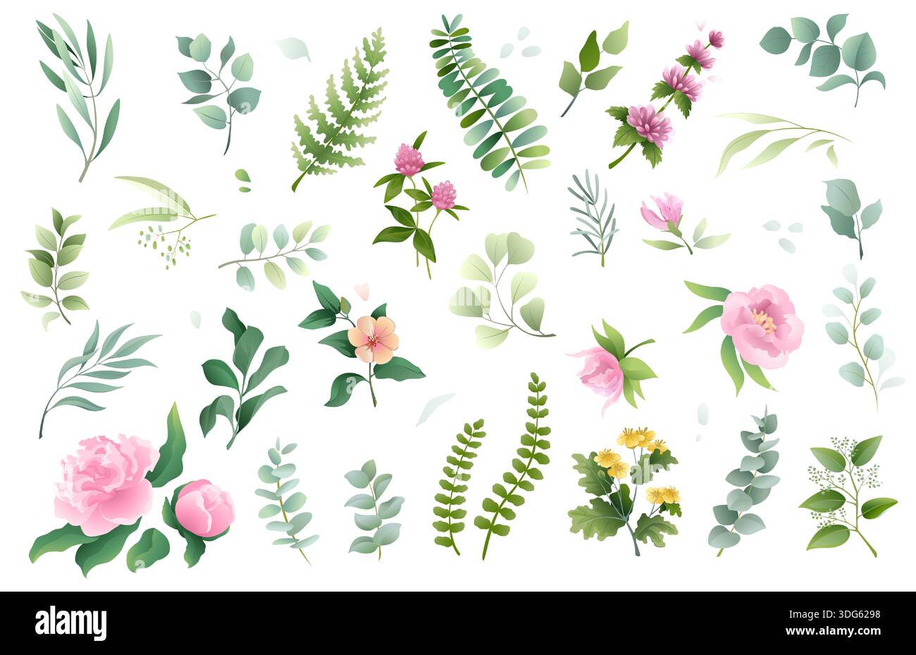 Fleurs d'aquarelle. Pivoine rose et roses. Feuilles et branches vertes. Éléments naturels isolés décoratifs botaniques. Décor élégant pour mariage. Plante de jardin, flore printanière estivale. Illustration vectorielle Illustration de Vecteur