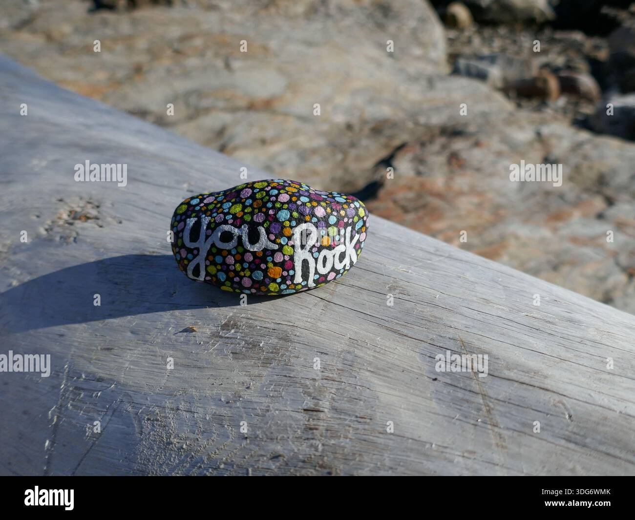 Bûche de bois flotté blanchie au soleil avec vous rock Kindness Rock Banque D'Images