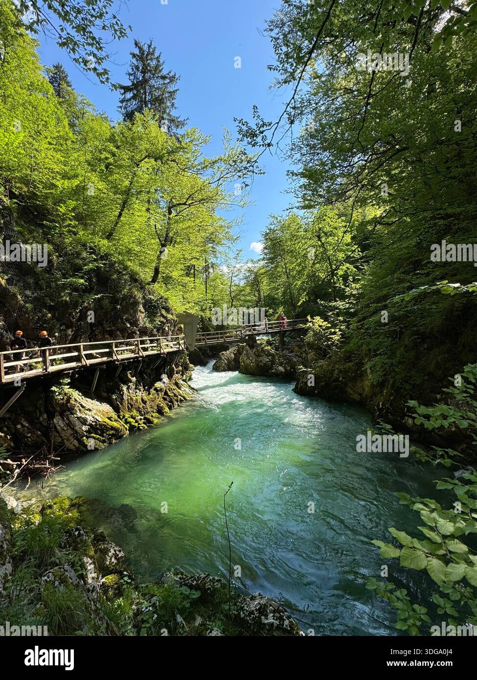 La rivière turquoise de Vintgar serpente à travers une forêt luxuriante et des falaises rocheuses, avec une passerelle en bois offrant des vues panoramiques - Image de stock capturée avec un smartphone