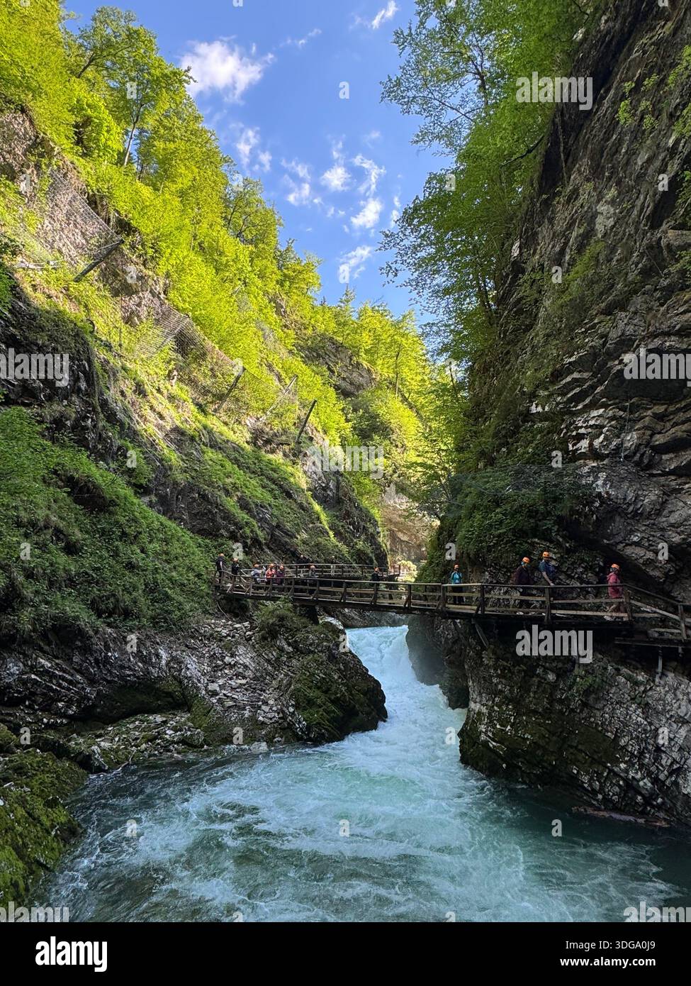 La rivière turquoise de Vintgar serpente à travers une forêt luxuriante et des falaises rocheuses, avec une passerelle en bois offrant des vues panoramiques - Image de stock capturée avec un smartphone