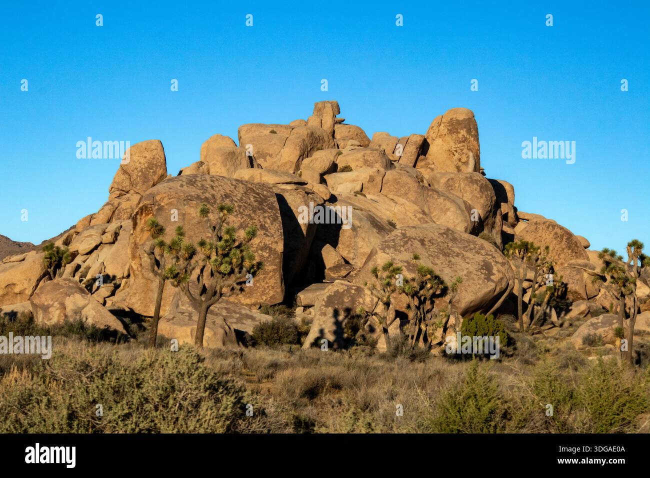 Des rochers massifs du désert surplombent des paysages secs et clairsemés d'arbres Banque D'Images