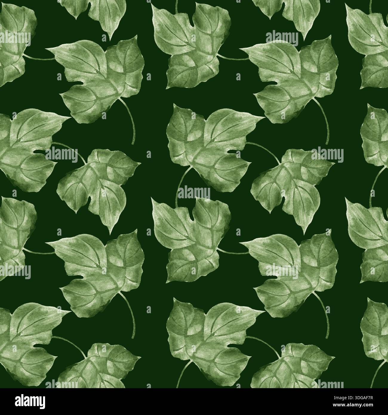 Illustration aquarelle d'un motif sans couture avec des feuilles de lierre vert sur un fond sombre. Banque D'Images
