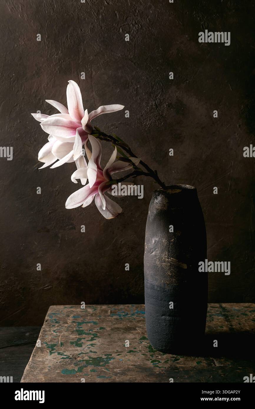 Belles fleurs de magnolia rose dans un vase en céramique noir rustique contre le mur sombre texturé vintage esthétique ambiance artistique nature morte composi Banque D'Images