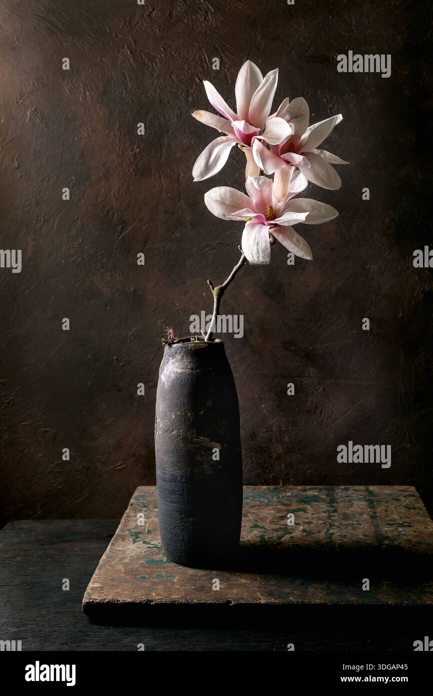 Délicates fleurs de magnolia rose ikebana dans un grand vase en céramique noir sur fond texturé foncé. Œuvres d'art minimalistes de natures mortes avec éclairage tamisé Banque D'Images
